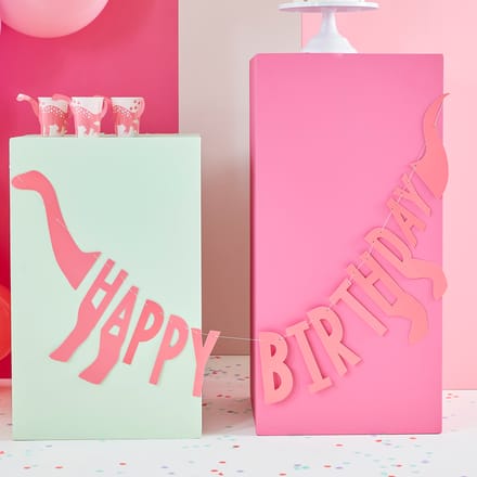 Pink Dino - Party for 16